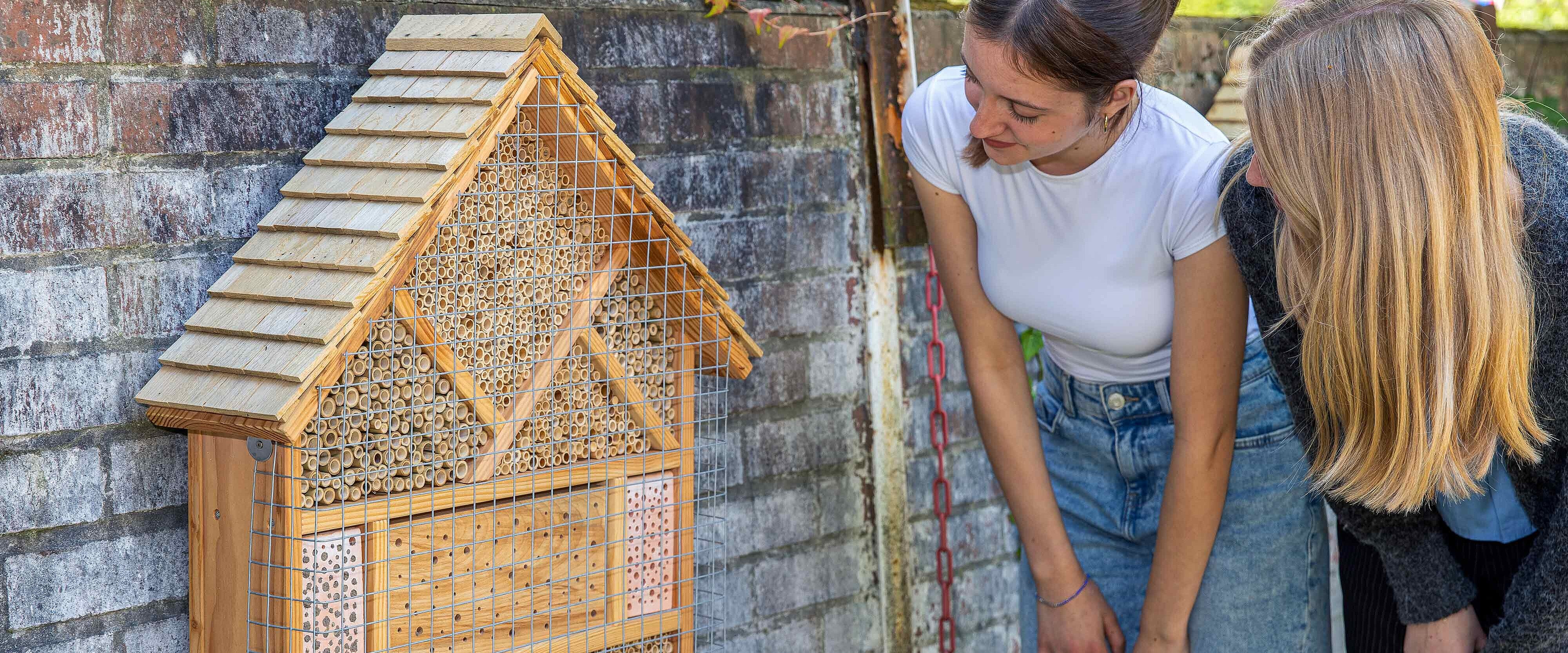 Ein Insektenmodell, das zwei junge Frauen begutachten.