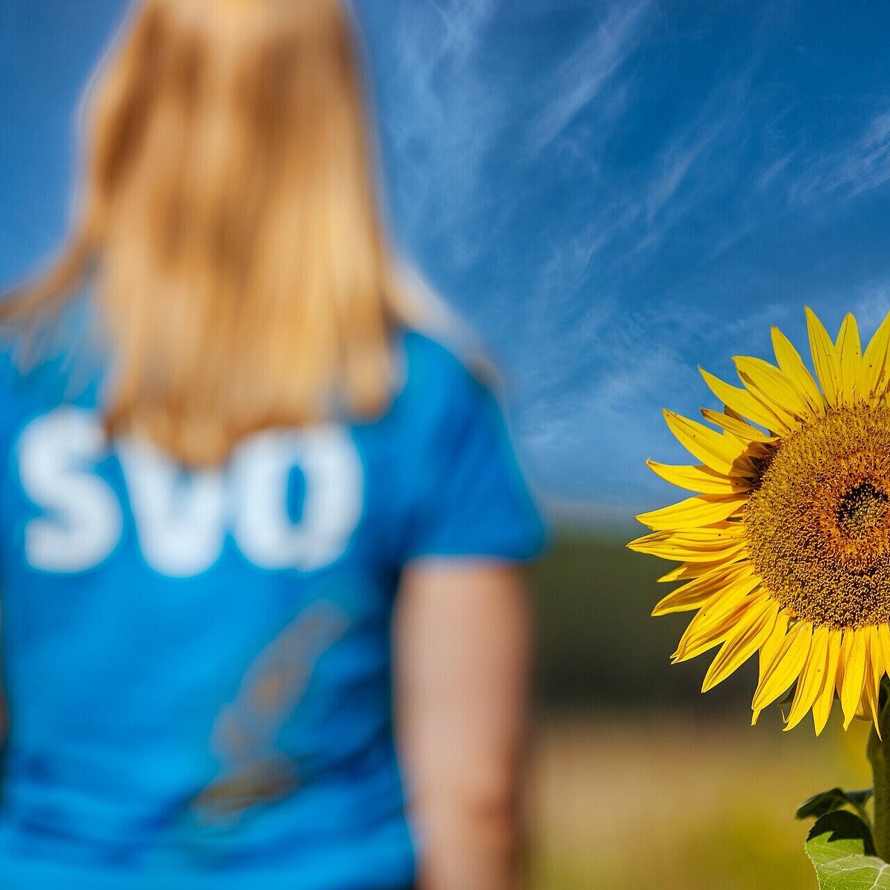 Langhaarige blonde Person in einem SVO T-Shirt und neben einer Sonnenblume posierend.