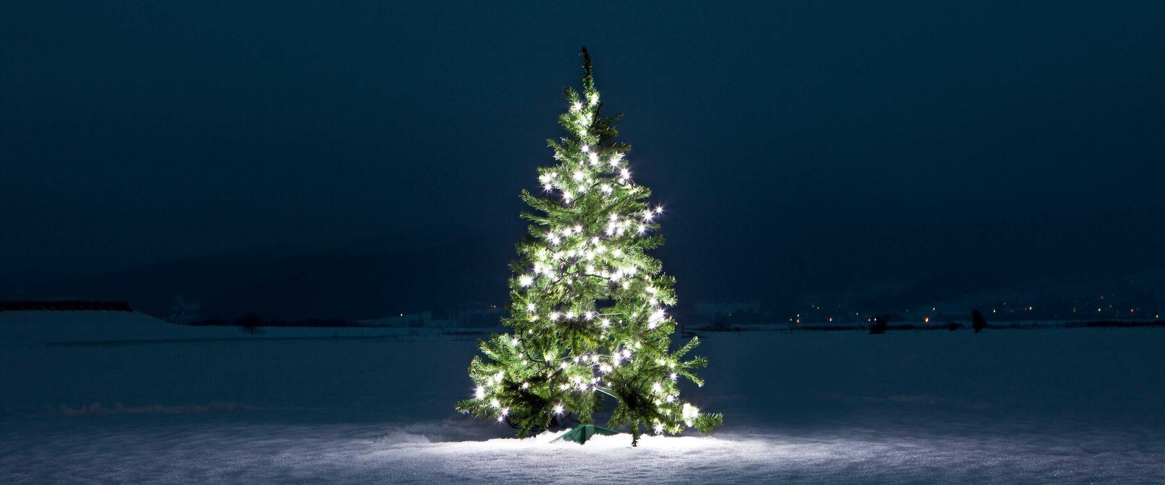 Beleuchteter Weihnachstbaum