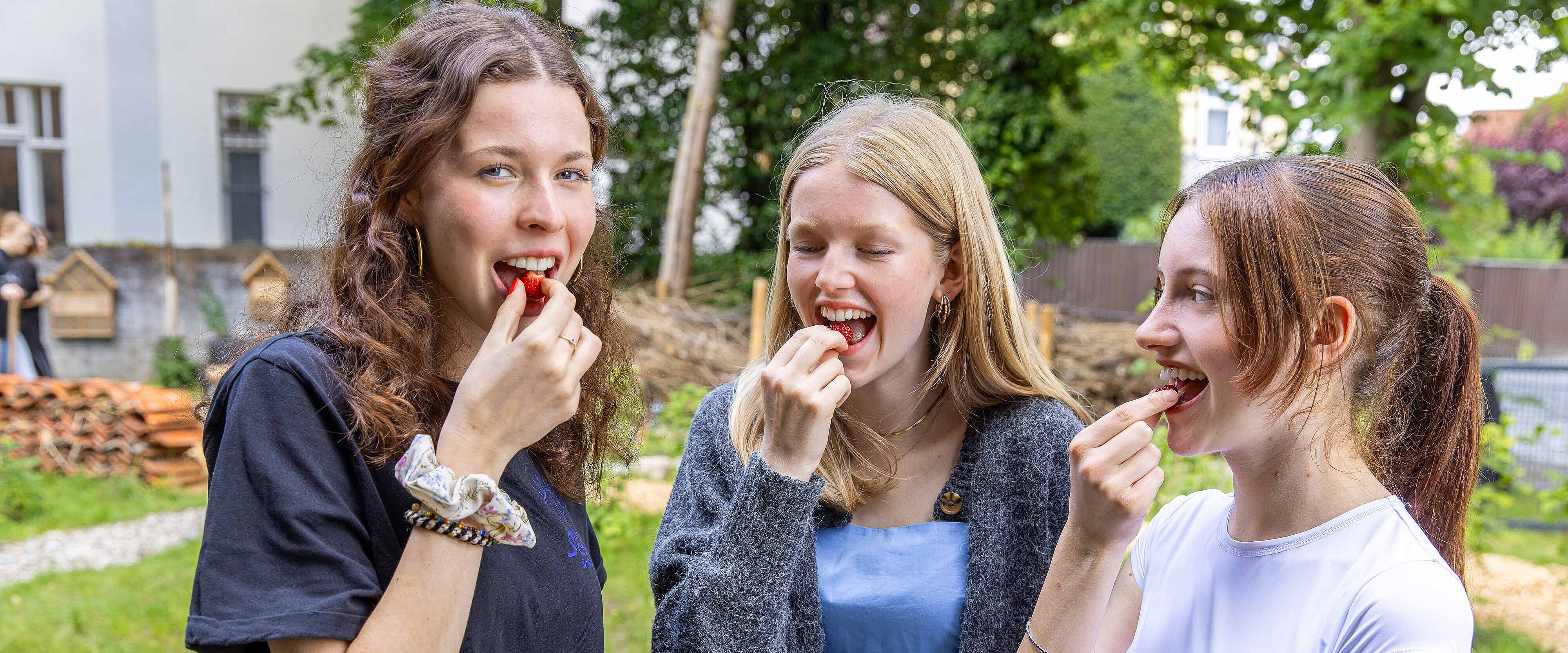 Die Schülerinnen Marie Rauser, Jonna Piderit und Hannah Kaufung essen frisch geerntete Erdbeeren.